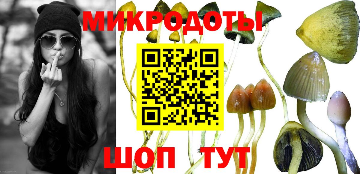 Вязьма  Псилоцибиновые грибы прущие грибы  продажа наркотиков  Вход с VPN 