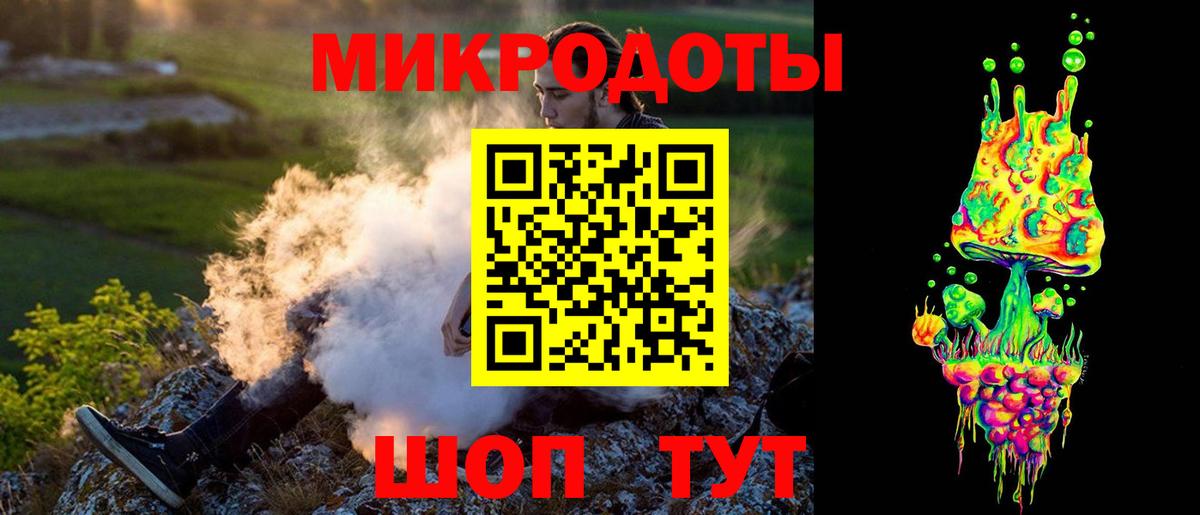 Галлюциногенные грибы Psilocybine cubensis Вязьма